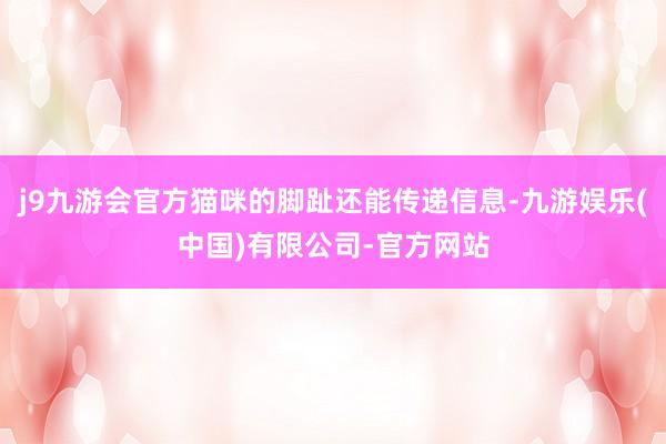 j9九游会官方猫咪的脚趾还能传递信息-九游娱乐(中国)有限公司-官方网站
